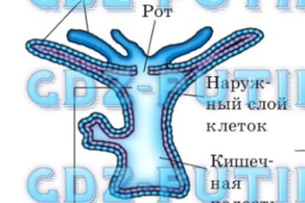Кракен зеркало сайта