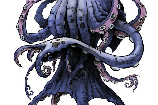 Kraken 24 top