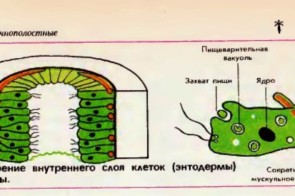 Как найти актуальную ссылку на кракен