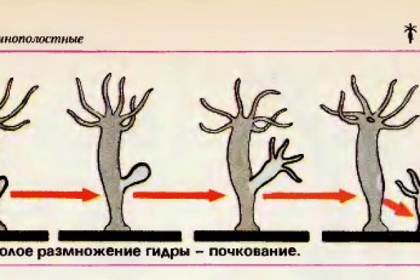 Кракен сайт kr2web in