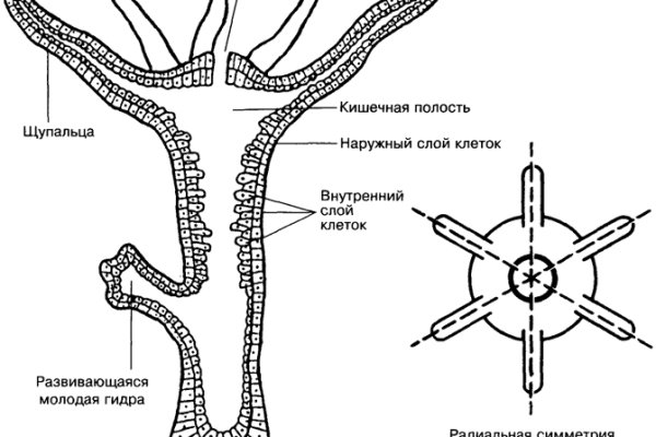 Кракен маркет зайти