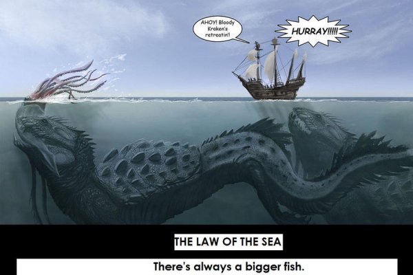 Kraken 23 at